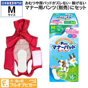   H ~ j̎q ̎qp }i[pbh Active MTCY 16 P.one q()yԕisz Ic  ` gCv[h ~j`A_bNX _bNXth  t