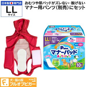   ~ H j̎q ̎qp }i[pbh Active LLTCY 10 P.one q()yԕisz Ic  ` gCv[h ~j`A_bNX _bNXth t 