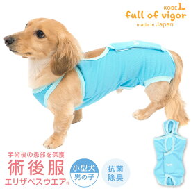 エリザベスカラー の代わりに 犬 服 夏 春 術後服 エリザベスウエア(R) 男の子 ダックス 小型犬用 抗菌 消臭素材 獣医師 去勢 避妊 手術 抗菌 防臭静電気抑制 UVカット 速乾性 チワワ トイプードル ミニチュアダックス ダックスフンド