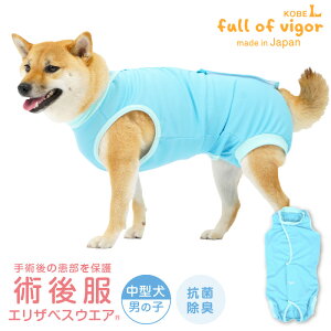 GUxXJ[ ̑ ^  H ~ ^p p㕞 GUxXEGA(R) j̎q R Lf bt  D p R hLÓdC} UVJbg  Č r[O Vi