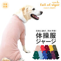 楽天市場】大型犬 服 夏の通販