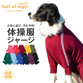 大型犬 服 冬 秋 大型犬用 ドッグプレイ(R) 体操服 ジャージ つなぎ ロンパース 抜け毛対策 長袖 抗菌 防臭 UVカット 紫外線対策 速乾性 遊び着 スポーツゴールデンレトリバー ラブラドール スタンダードプードル 春 夏 カバーオール 犬の服
