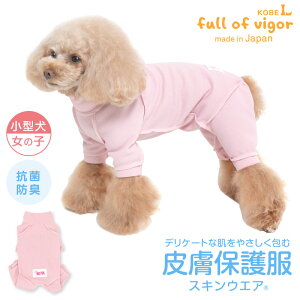 畆a rߑ΍   ~ H 畆ی앞 XLEGA(R) ̎q _bNX ^p R Lf r ނ 畆 R hLÓdC} UVJbg  ` gCv[h ~j