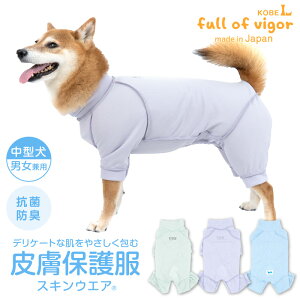 畆a rߑ΍ ^  ~ H ^p 畆ی앞 XLEGA(R) jp R Lf r ނ 畆 R hLÓdC} UVJbg  Č r[O ViEU[ 