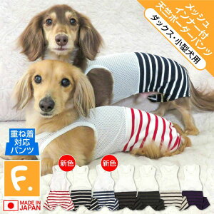   ~ H bV Ci[t V {[_[ pc _bNX ^p ё΍ pc Ȃ ` gCv[h ~j`A_bNX _bNXth t 