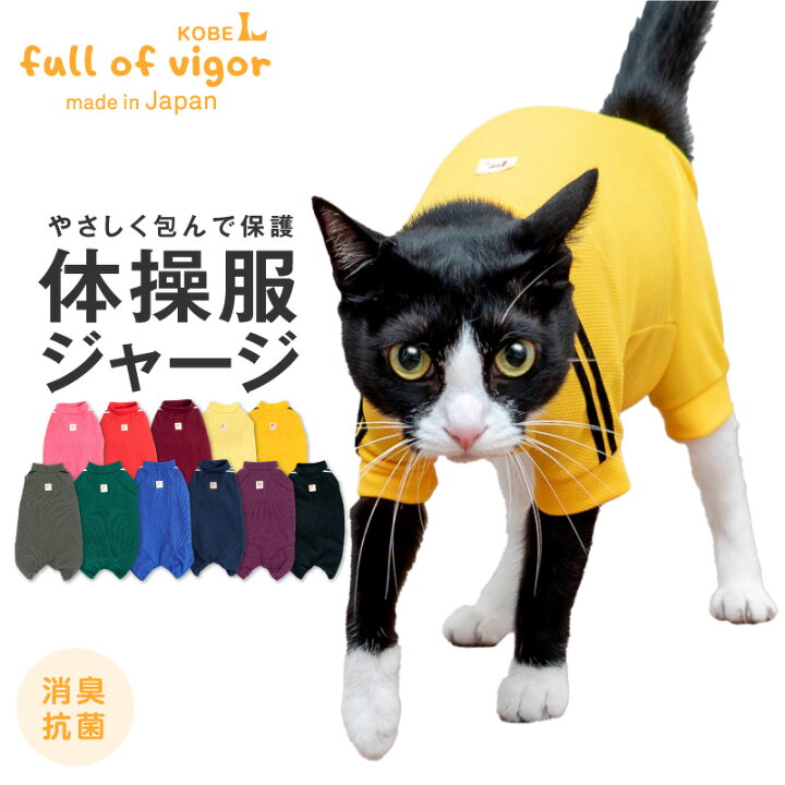 楽天市場】猫 服 猫用体操服ジャージつなぎ キャットウエア ロンパース 