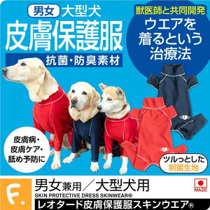 畆a rߑ΍ ^   t ^p Lт ₷ R hL @\t 畆ی앞XLEGA(R) jp R hLf r ނ 畆 R hL ې\ z 