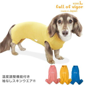   ~ H Lт ₷ ̉ x @\t Ȃ XLEGA(R) _bNX ^p p[X ё΍ Ȃ AEgXg ۉ x ` gCv[h ~j