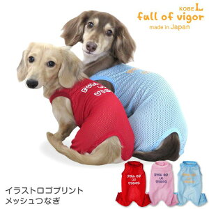   CXg S vg bV Ȃ _bNX ^p p[X ё΍ Ȃ  ʋC ϋv O΍ ` gCv[h ~j`A_bNX _bNXth 