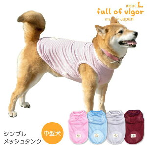 ^  ^p Vv bV ^N ё΍ ^Ngbv  ʋC ϋv O΍ Č r[O ViEU[ LoA t  Ȃ