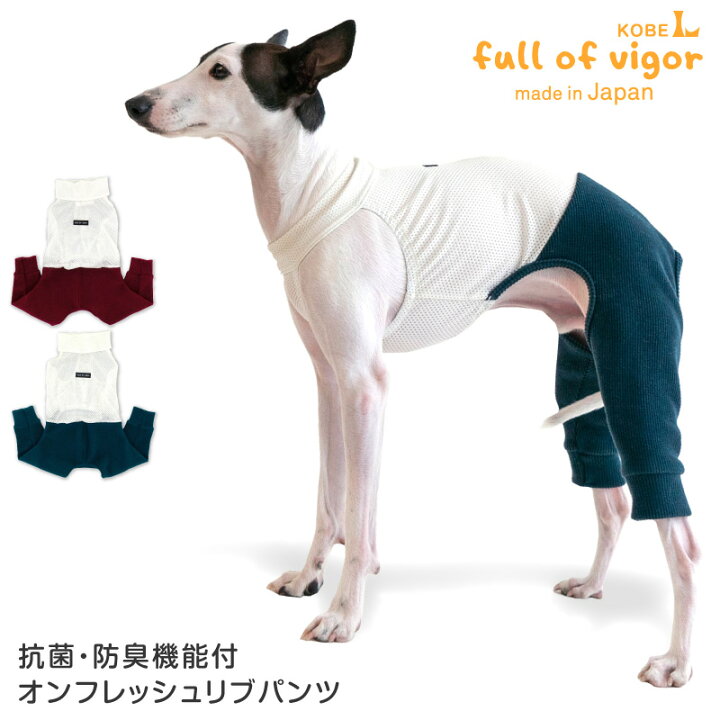 楽天市場】イタグレ 服 春 夏 秋 冬 抗菌・防臭機能付オンフレッシュ 