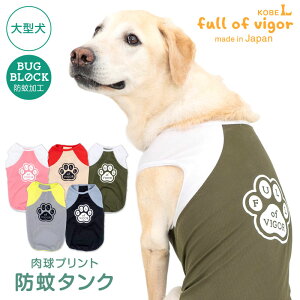 ^  ^p  vg h ^N ё΍ ^Ngbv h 悯 UVJbg U AEghA S[fgo[ uh[ X^_[hv[h t  Ȃ