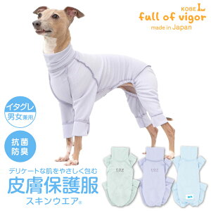 畆a rߑ΍ C^O  H ~ C^Op 畆ی앞 XLEGA(R) jp r ނ 畆 R hLÓdC} UVJbg  C^AO[nEh C^O E