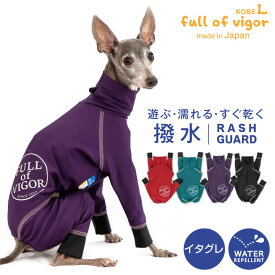 シャカシャカ 音がしない イタグレ 服 夏 イタグレ用 伸びて 着せやすい ドッグプレイ(R) サークル プリント 撥水 ラッシュガード 紫外線対策 UV対策 アウトドア 雨 レインコート レインウエア イタリアングレーハウンド イタグレ