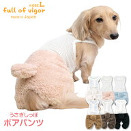 犬 服 秋あったか ふわもこ なりきりアニマル メッシュ インナー付 ボア うさぎ しっぽ パンツ ダックス …