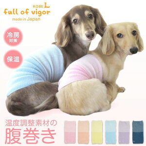   ~ H Lт ₷ ̉ x @\f  Vv ۂۂEGA(R) h ۉ ΍ AEgXg ۉ x ` gCv[h ~j`A_bNX _