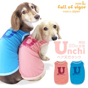   ~ H Lт ₷  vg xAV ^N _bNX ^p ё΍ ^Ngbv Lтf Lk tBbg ` gCv[h ~j`A_bNX _b