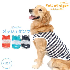 ^  ^p {[_[ bV ^N ё΍ ^Ngbv  ʋC ϋv O΍ S[fgo[ uh[ X^_[hv[h t  Ȃ