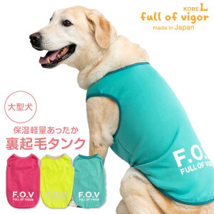 ^  H ^p ۉ y  N ^N ё΍ ^Ngbv h ΍ ۉ g S[fgo[ uh[ X^_[hv[h ~  Xm[ ^