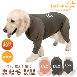 ^  ~  Xm[ H ^p hbOvC(R) N nCeV bVK[h O΍ UV΍ AEghA Lтf Lk tBbg S[fgo[ uh[