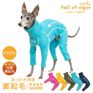 C^O  ~  Xm[ H C^Op Lт ₷ hbOvC(R) N bVK[h O΍ UV΍ AEghA h ΍ ۉ g C^AO[nEh C^