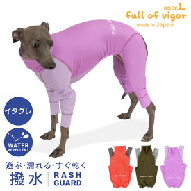 シャカシャカ 音がしない イタグレ 服 夏 イタグレ用 伸びて 着せやすい ドッグプレイ(R) 配色 撥水 ラッシュガード 紫外線対策 UV対策 アウトドア 雨 レインコート レインウエア イタリアングレーハウンド イタグレ ウィペット