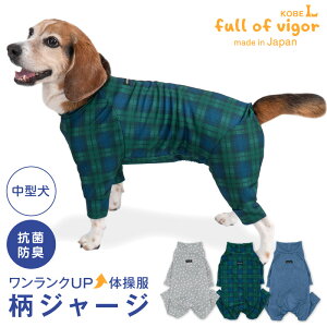 ^  H ~ ^p hbOvC(R)  W[W Ȃ p[X ё΍  R hL UVJbg O΍  Vђ X|[cČ r[O ViEU[ LoA  