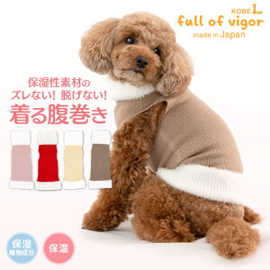   ~ H Lт ₷ VM[ lbN   ۂۂEGAiRj h ۉ ΍ Lтf Lk tBbg ` gCv[h ~j`A_bNX _bNXt