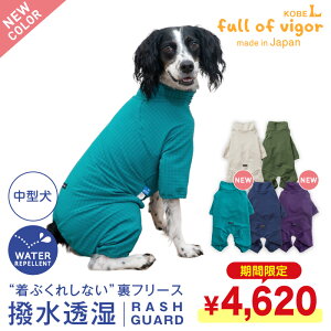 yyVX[p[SALEzVJVJ Ȃ ^  ~  Xm[ H  ӂ ^p hbOvC(R)   t[X bVK[h O΍ UV΍ AEgh