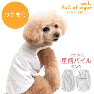   ~ H P  pC ^N _bNX ^p ё΍ ^Ngbv ۉ y ӂ ` gCv[h ~j`A_bNX _bNXth t  Ȃ