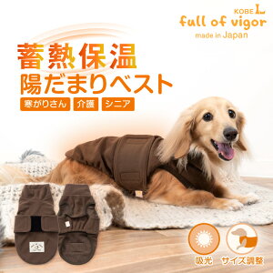   ~ H zM ԊO ۉ z܂ xXg _bNX ^p   ΍ ۉ y ӂ ` gCv[h ~j`A_bNX _bNXth t  VjA nC