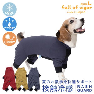 ^  ^p Lт ₷ hbOvC(R) ڐG⊴ Xgb` njJ bVK[h O΍ UV΍ AEghA ⊴ Ђ N[ ėp⊴ UVJbg U Č r