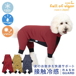 ^  ^p Lт ₷ hbOvC(R) ڐG⊴ Xgb` njJ bVK[h O΍ UV΍ AEghA ⊴ Ђ N[ ėp⊴ UVJbg U S[
