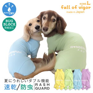   Lт ₷ hbOvC(R) z h bVK[h _bNX ^p O΍ UV΍ AEghA h 悯 UVJbg U AEghA ` gCv[h ~j`