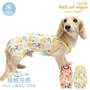   oGeB  ڐG⊴ bV Ȃ Ȃ _bNX ^p p[X ё΍ Ȃ ⊴ Ђ N[ ėp⊴ UVJbg U ` gCv[h ~j`A_