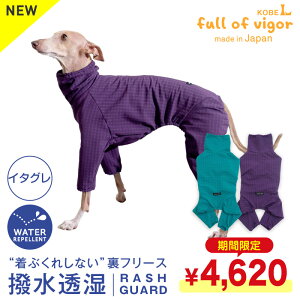 yyVX[p[SALEzVJVJ Ȃ C^O  ~  Xm[ H  ӂ C^Op hbOvC(R)   t[X bVK[h O΍ UV΍ AE