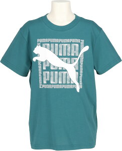 �v�[�} GRAPHIC �L���b�g T�V���c B Emerald Ice 694219 2026su 25p