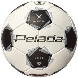 �����e�� F5K5001 �y���[�_5000�y�p 5�� 10p