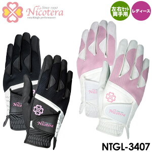y[։\zyfB[XzjRe NTGL-3407 fB[X p StO[u Nicotera