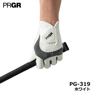 y[։\zvMA PG-319 nCObvnh zCg PRGR O[u 10p