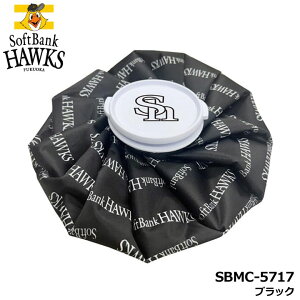 y2025fz\tgoNz[NX SBMC-5717 ACXobO ubN X̂ XX ACVO St SoftBank HAWKS LEZAX