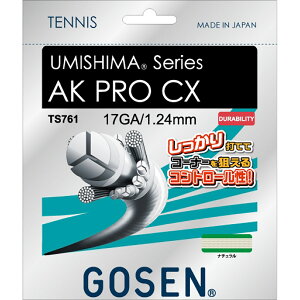 �S�[�Z�� TS761-NA AK PRO CX 17 (NA)�i�`������ 2025 10p