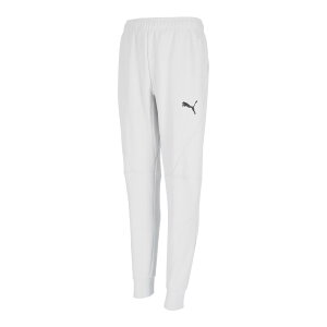 v[} 660133-33 PUMAFTBL TRAVEL pc (33)Feather Gray YEjZbNX 2025fw 25p