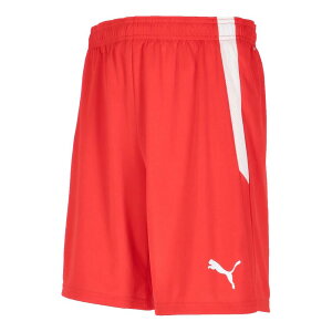 v[} 705151-01 TEAMLIGA Q[pc (01)Puma Red-Puma White YEjZbNX 2025fw 25p