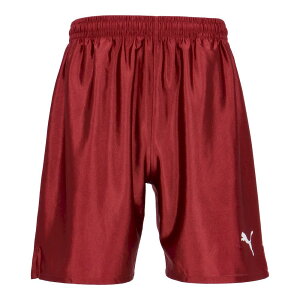 v[} 729969-09 LIGA Q[pc RA (09)Cordovan YEjZbNX 2025fw 25p