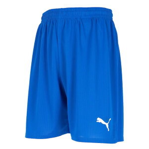 v[} 729971-07 LIGA Q[pc RA (07)Puma Royal YEjZbNX 2025fw 25p