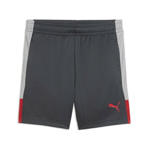 �v�[�} 660974-01 IndiviLIGA TR �V���[�c Jr (01)Gray Echo-Dusky Gray-PUMA Red �W���j�A 2026ss 25p