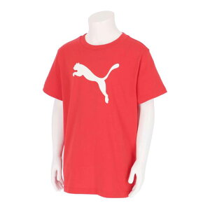 �v�[�} 687784-11 ESS �v�[�} ���S T�V���c B (11)FOR ALL TIME RED �W���j�A 2026ss 25p