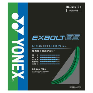���l�b�N�X BGXB65-003 �G�N�X�{���g65 (003)�O���[�� 2026 25p