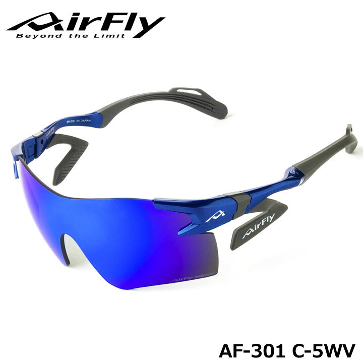 楽天市場】【正規販売店】エアフライ AF-301 C-5WV ワイドビュータイプ  